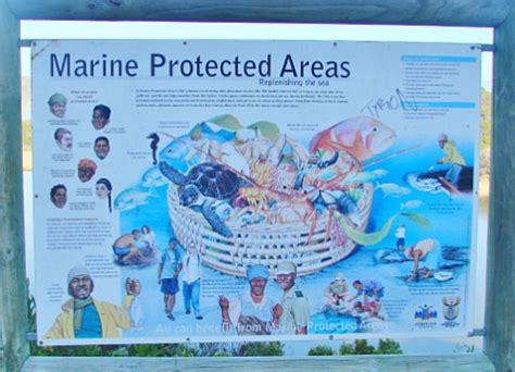 Marine Protected Areas