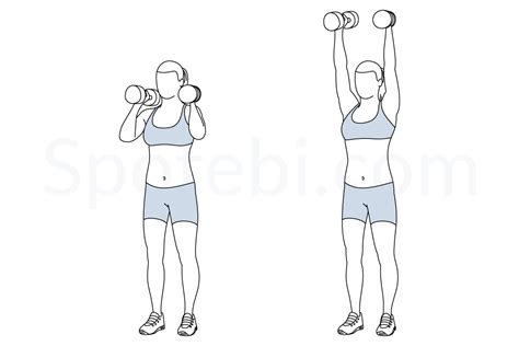 Dumbbell Push Press | Illustrated Exercise Guide