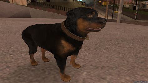 Gta 5 Dog Breeds