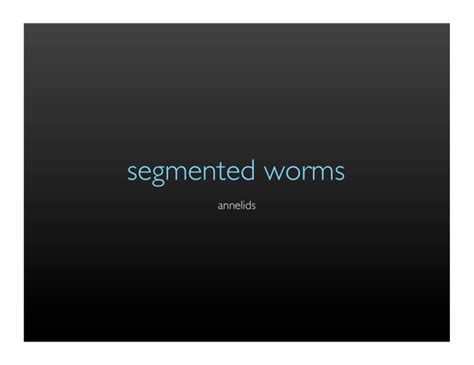 segmented worms