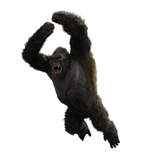 Kong (2021) PNG Render : r/LegendaryKong