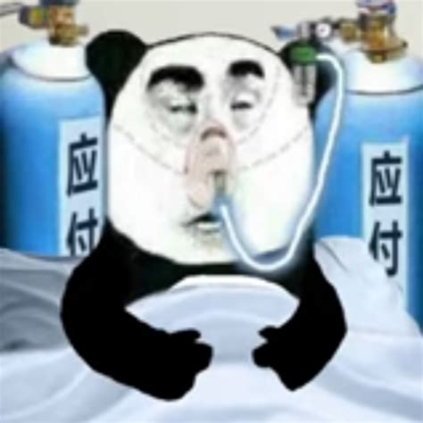 Dying panda Memes - Imgflip