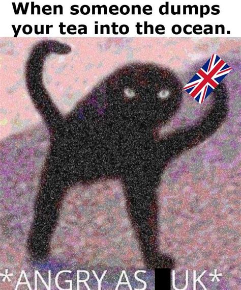 an image of a black cat with the caption when someone dumps your tea ...