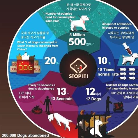 Dog Meat Consumption In South Korea - Korean Meat Market