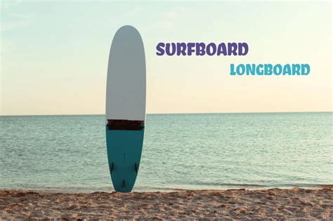 10 Best Surfboard Longboard