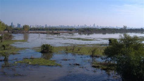 Predelta National Park and Delta del Paraná Biosphere Reserve ...