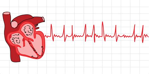 Understanding AFib: How to measure your own heart rate and rhythm - Scope