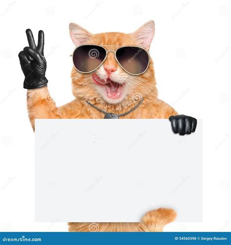 Cat with Peace Fingers in Black Leather Stock Photo - Image of smiley ...