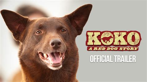 Everything You Need to Know About Koko: A Red Dog Story Movie (2023)