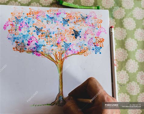 Man drawing a magical tree — one man only, Adults Only - Stock Photo ...