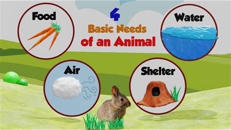 How Do Plants And Animals Survive In Their Habitat - Riset