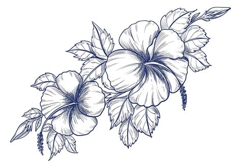 Flower Drawing Vector Art, Icons, and Graphics for Free Download