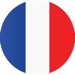 france, flag icon