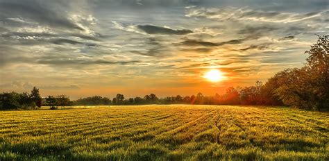 sunset, Field, Trees, Landscape, Autumn Wallpapers HD / Desktop and ...