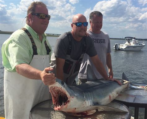 Shark Fishing Atlantic City / Ocean City NJ June 2nd - Moover Fishing ...