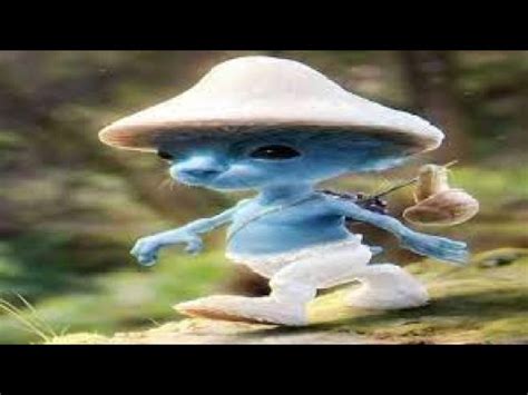 Blue Smurf Cat - YouTube