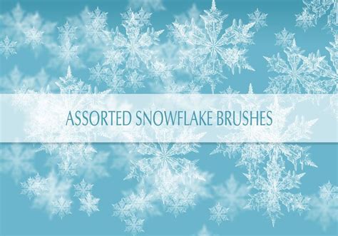 Real Snow Flakes Brushes | Free Photoshop Brushes at Brusheezy ...