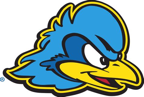 University of Delaware Colors | NCAA Colors | U.S. Team Colors