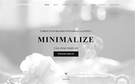 Download the Best Minimalist Website Templates from Here