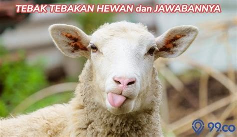 60 Tebak Tebakan Hewan dan Jawabannya, Lucu & Bikin Ngakak