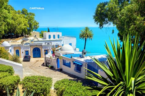 10 Amazing Things To Do in Sidi Bou Said, Tunisia — Carthage Magazine