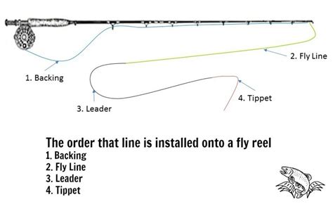 What is Fly Line Backing and How Much Do You Need? - Guide Recommended