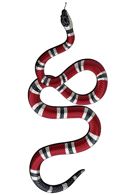 Gucci Snake Wallpapers - Wallpaper Cave