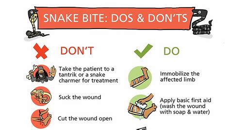 Infographic: Snake Bite First Aid | RECOIL OFFGRID