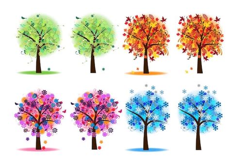 Four Seasons Trees Clipart Clip Art Spring Summer Winter Fall