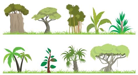 Cartoon Jungle Trees - Cliparts.co