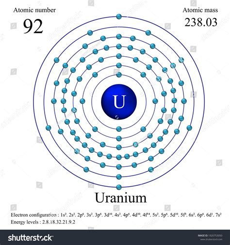 Uranium Atomic Structure Has Atomic Number Stock Vector (Royalty Free ...