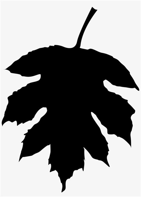 Fall Leaf Silhouette At Getdrawings - Fall Transparent PNG - 1112x1500 ...