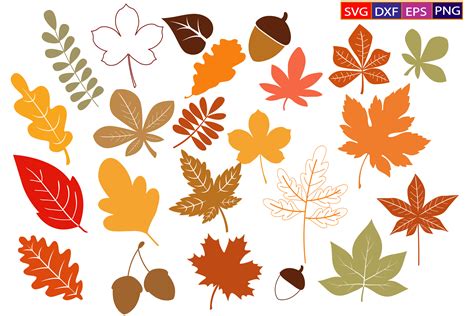 Fall Leaves SVG,Autumn Laves SVG Bundle Graphic by Dev Teching ...