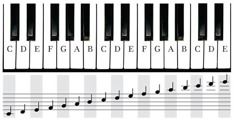 Free Piano Keyboard, Download Free Piano Keyboard png images, Free ...