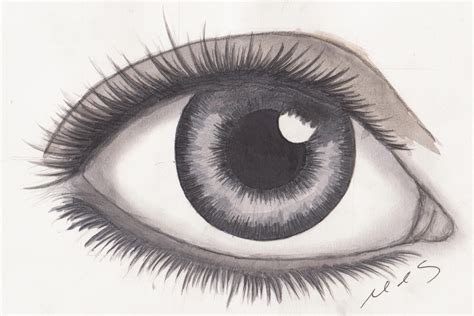 Realistic Eye Drawing by mhylands on DeviantArt