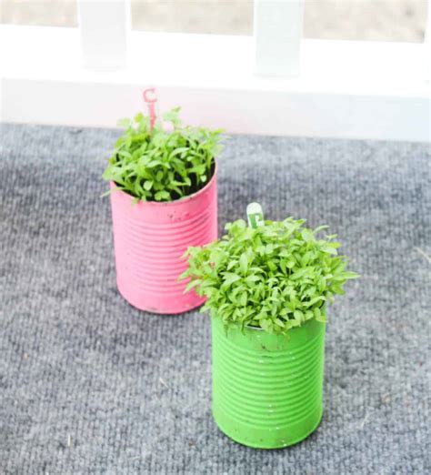 Tin Can Herb and Flower Pot Planters – At Home With Zan