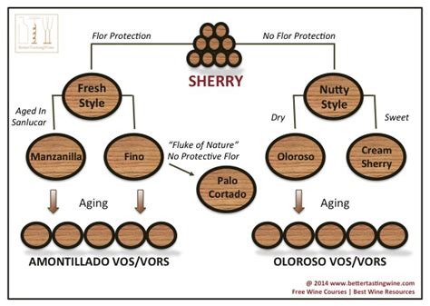 Sherry_Types – ENOFYLZ Wine Blog