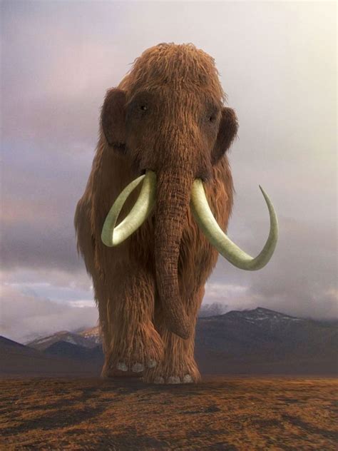 Woolly Mammoth 2024 Update Download - Manon Rubetta