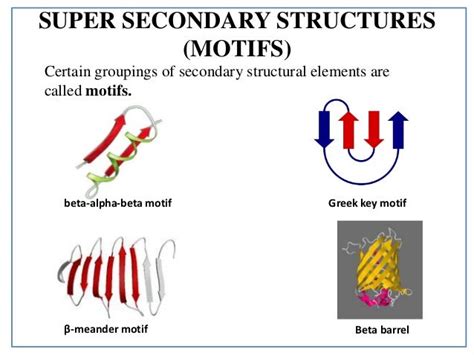 Protein structure: details