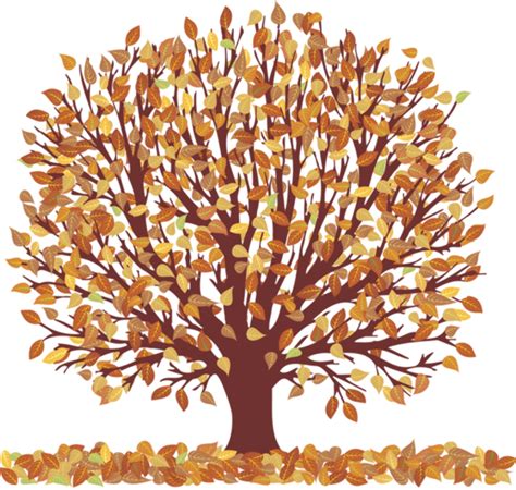 Download High Quality Tree clipart fall Transparent PNG Images - Art ...