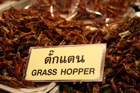 Fried Insects The Famous Snack Of Thailand - Backpackerinsight