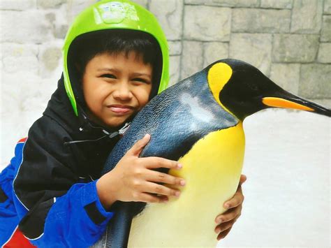 Snow Penguins Encounter at Ski Dubai | Cuddles and Crumbs