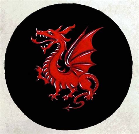 1000+ images about Welsh dragon tattoos on Pinterest