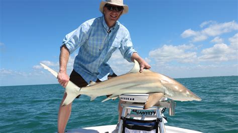 Shark Fishing Boca Grande | Big Bully Outdoors