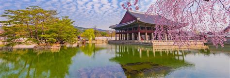 Gyeongbokgung Palace Tour, Seoul