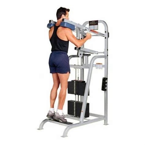 Standing Calf Raise Machine, for Gym at Rs 30000 in Mumbai | ID ...