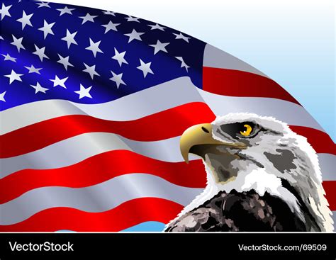 Bald eagle american flag Royalty Free Vector Image