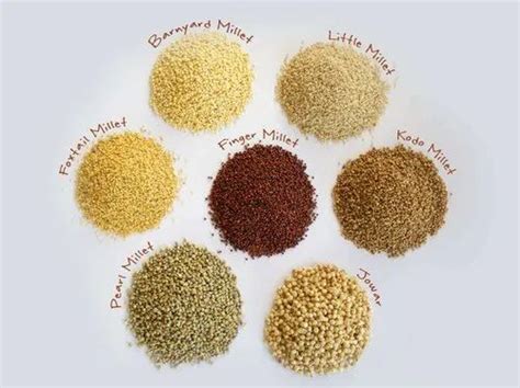 All Varietes of Millet, High in Protein at Rs 80/kg in Anaparthi | ID ...