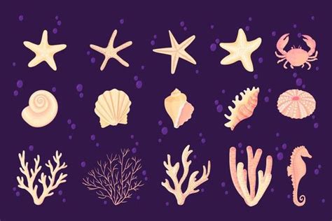 Coral Vector Art, Icons, and Graphics for Free Download