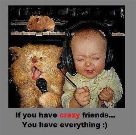 20 Best and Funny Friendship Quotes | Quotes and Humor